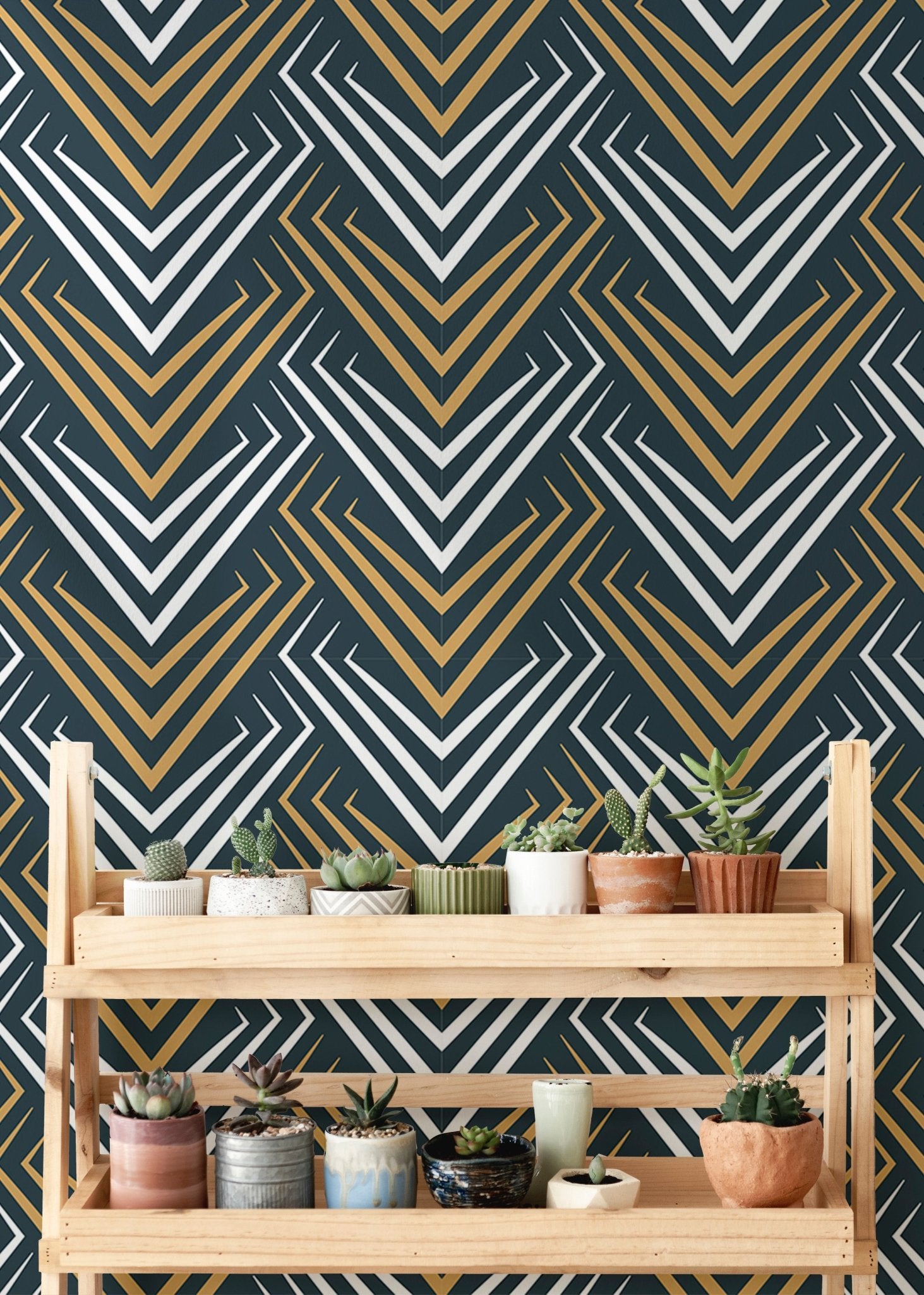Geometric chevron wallpaper behind a wooden shelf holding multiple potted succulents.