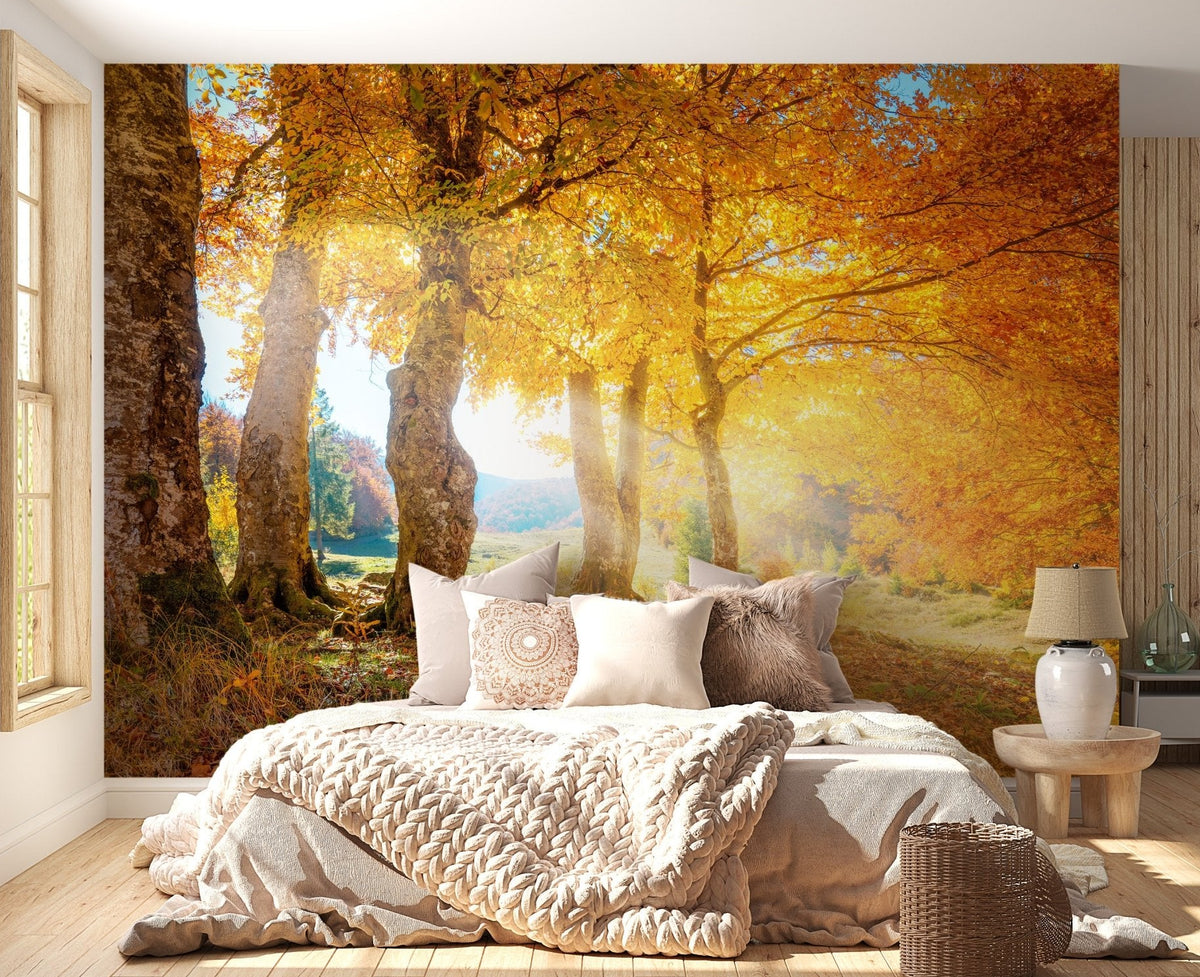 Yellow Autumn Leaves Forest Wall Mural in a bedroom.
