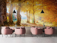 Autumn Forest with Yellow Leaves Wall Mural in a lounge with pink velvet chairs. 