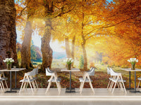 Golden Yellow Autumn Leaves Forest Wall Mural in a dining area.